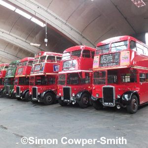 Bus