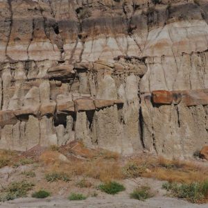 VISIT TO THE BADLANDS OF ALBERTA