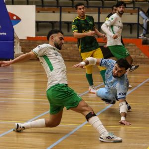 Groene Ster - ZVC United 2026