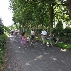 Eurasier Society Fun Day 2010