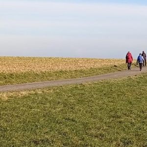 24.1.2026  Die Buschberge bei Herongen