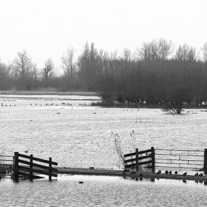 Avelingen: ondergelopen polder