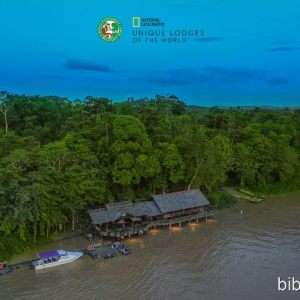 bibi.tours Reisebaustein "Nasenaffen, Fluss-Safari & Orang Utans"