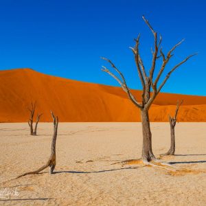 Namibian Views