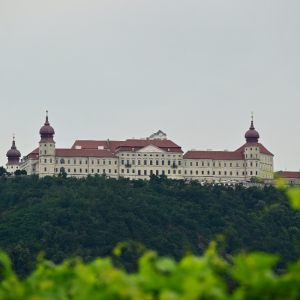 GLATT & VERKEHRT - Musikwerkstatt-Reprisen 19.07.2024 - Impressionen