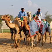 Dubai Camel Racing Club