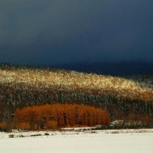 Photo Albums By Flaber Profile Page