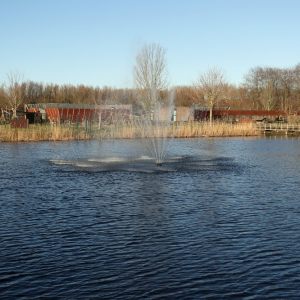 Tussen Kemphaan en Bergplaats