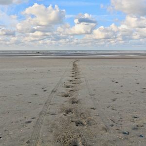 HORSEBACKFISHERMEN 599 - Belgium