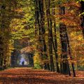 Autumn colors (HDR)