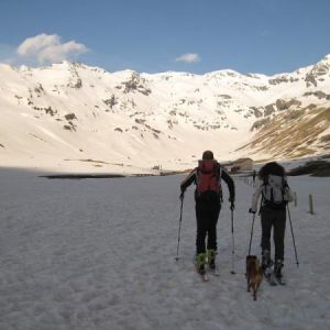 CIMA DI VAL LOGA
