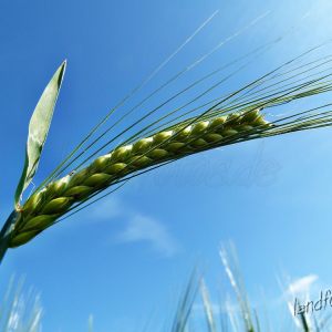 Landfotos.de