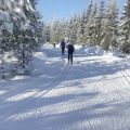 Finland , part 2