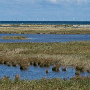 Fischland - Darß - Zingst