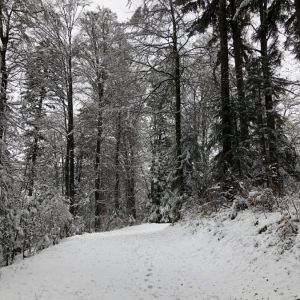 Hiver-2020-2021
