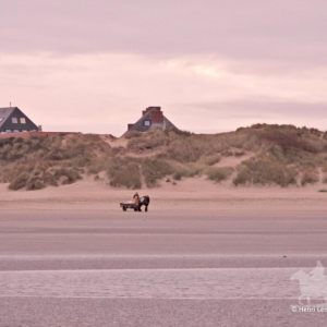 HORSEBACKFISHERMEN 600 - Belgium