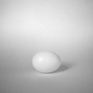 Pinholed Organic EgG