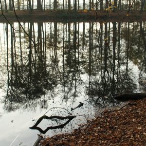 autumn in holland