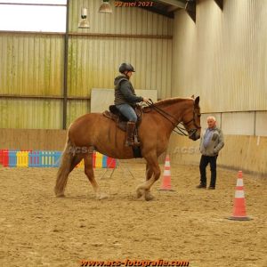 Clinic Working Equitation