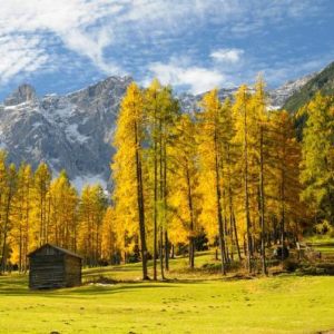 Herbstzauber
