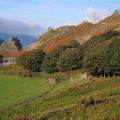 Fours Days in Exmoor