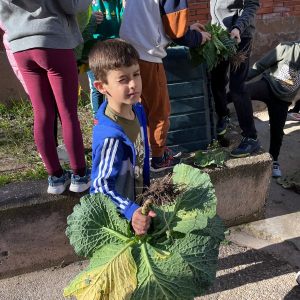 Fotos del huerto tercer trimestre de 3º de primaria