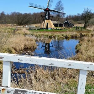 Going Dutch