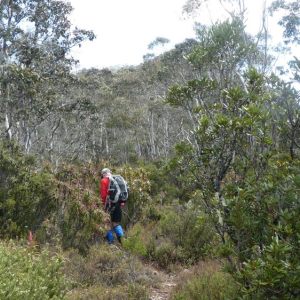 Mount Charles 2024