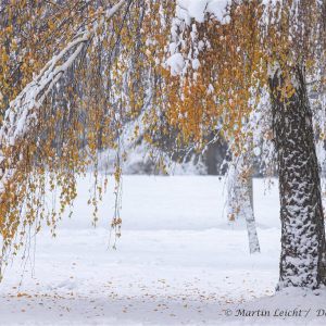 Winterstimmungen