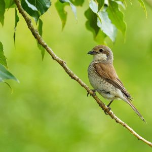 Finnmark road trip 2025