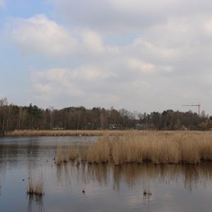 Dessel 9-4-2023