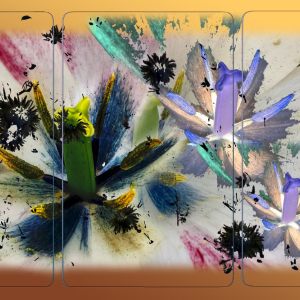 2205-Triptychs_and_Cartouches