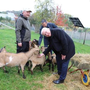 Bundespräsident Frank-Walter Steinmeier