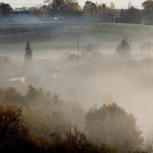 Brumes matinales.