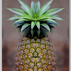 Tropical fruits