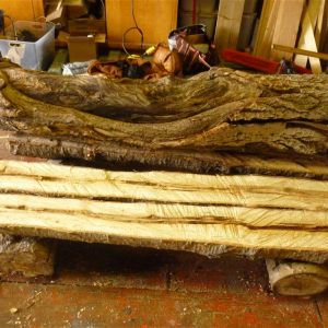 The Woman Who Decided to be a Tree
