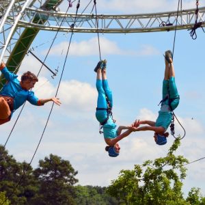 BUZZZ Family Day 2016